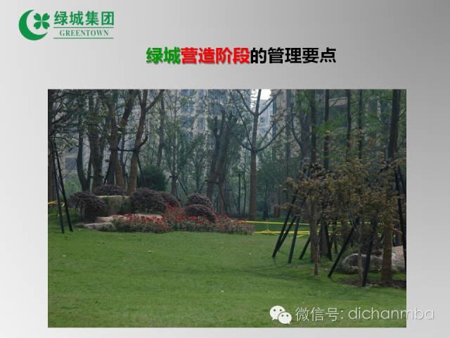 图片[60]-绿城园林景观工程管理要点完整版-VIP景观网