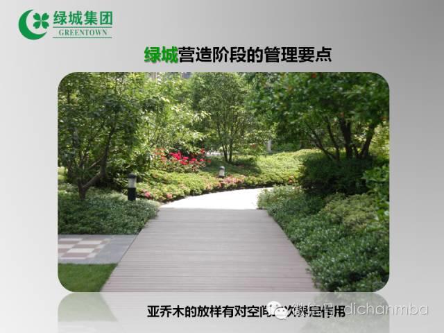 图片[17]-绿城园林景观工程管理要点完整版-VIP景观网