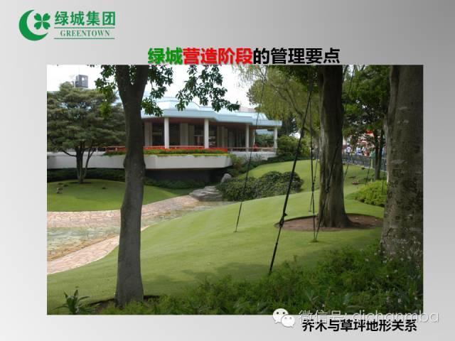 图片[56]-绿城园林景观工程管理要点完整版-VIP景观网