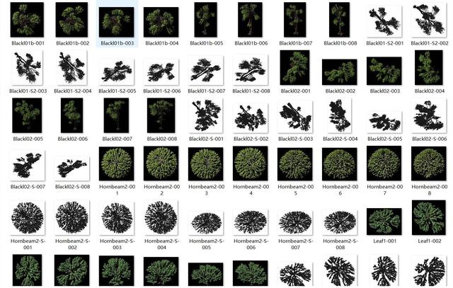 常用园林景观植物-各类平面树PSD、CAD、AI线稿，真正好资源