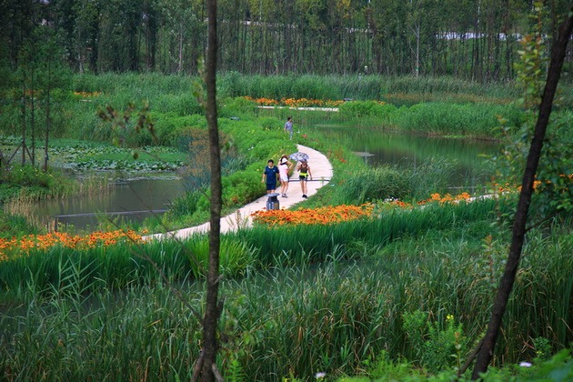 图片[10]-六盘水明湖湿地公园景观设计-VIP景观网