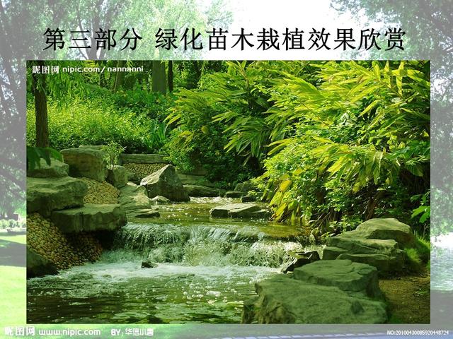 园林绿化基础知识培训课件(图文）