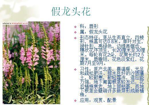 「景观植物」常见植物花卉400余种，资源分享