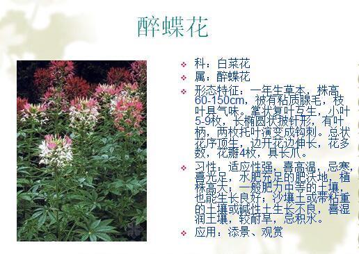 「景观植物」常见植物花卉400余种，资源分享