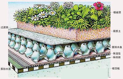 屋顶花园必须要知道的设计规范及植物配置，收藏版