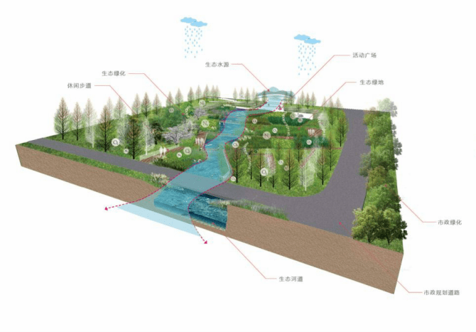 [深圳]两岸公共滨水绿带景观绿道设计HOPE-生态策略