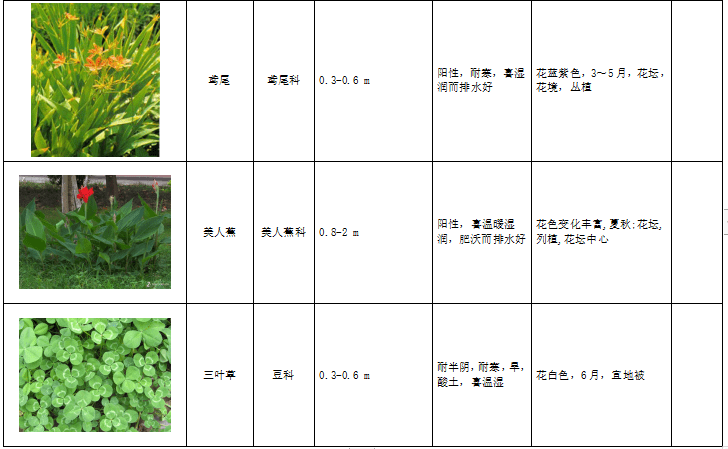 西北地区绿化植物分类图表-3