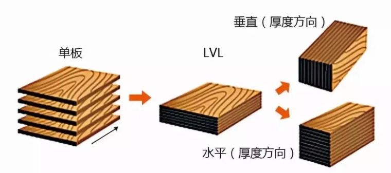 什么是LVL单板层积材？_3