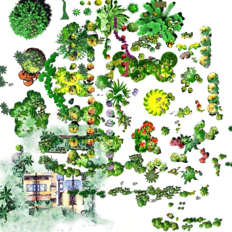 园林景观手绘植物PS平面素材（PSD格式）