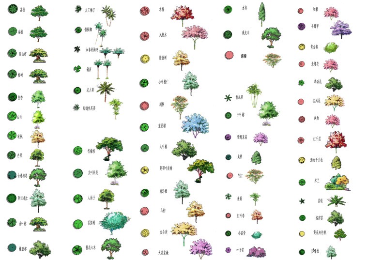 园林景观手绘植物PS平面素材（PSD格式）