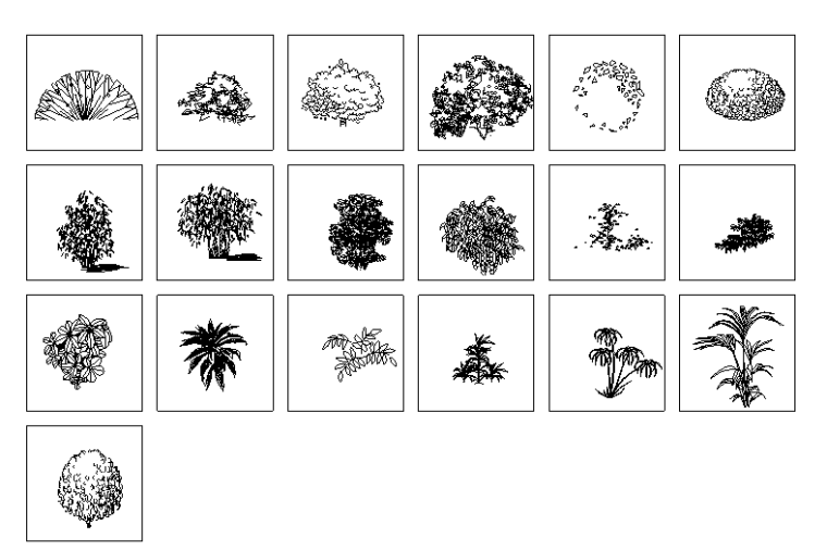 常用景观植物CAD图块-园林树木立面