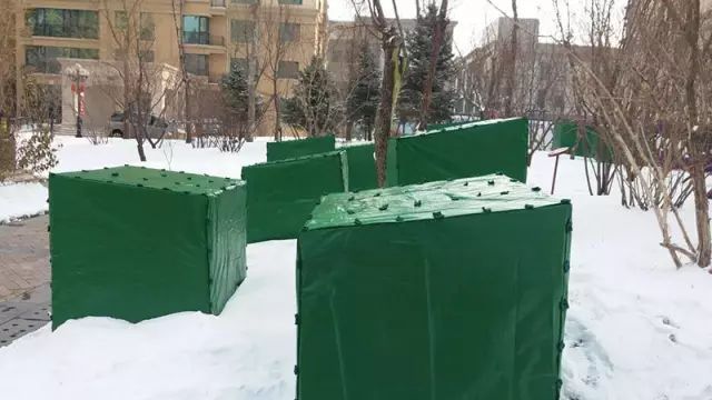 北方地区冬季绿化植物防寒风障的搭设技巧