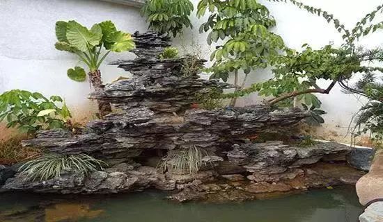 当植物遇见叠石-假山植物造景技巧