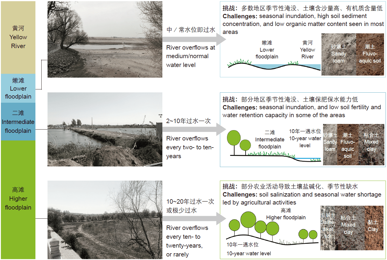 郑州黄河滩区生态修复模式探索 | 土人设计-VIP景观网